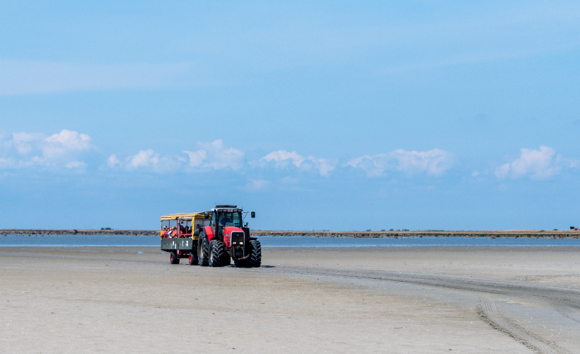 Safaritur med Rønnerbussen