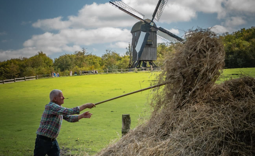 Dyrk maden: Smag på mark og have