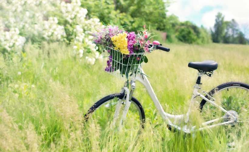 Guidet cykeltur - Skagens hemmelige steder
