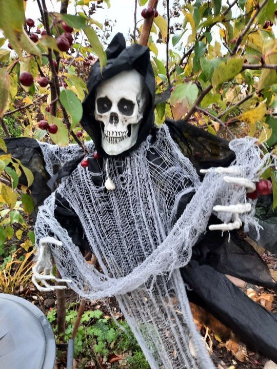 Efterårets måske mest (u)hyggelige Halloweenhave