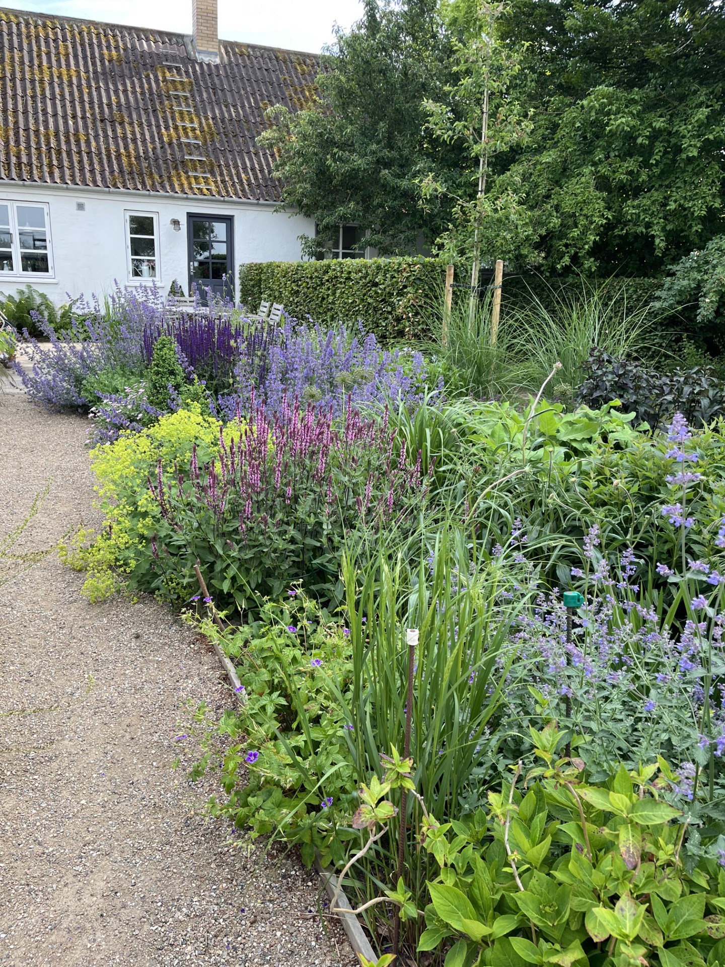 Designede blomsterbede på landet