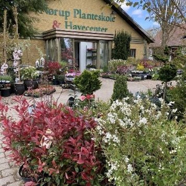 En aften med 20% på alt fra planteskolen, til den gode sæson for nyplantninger