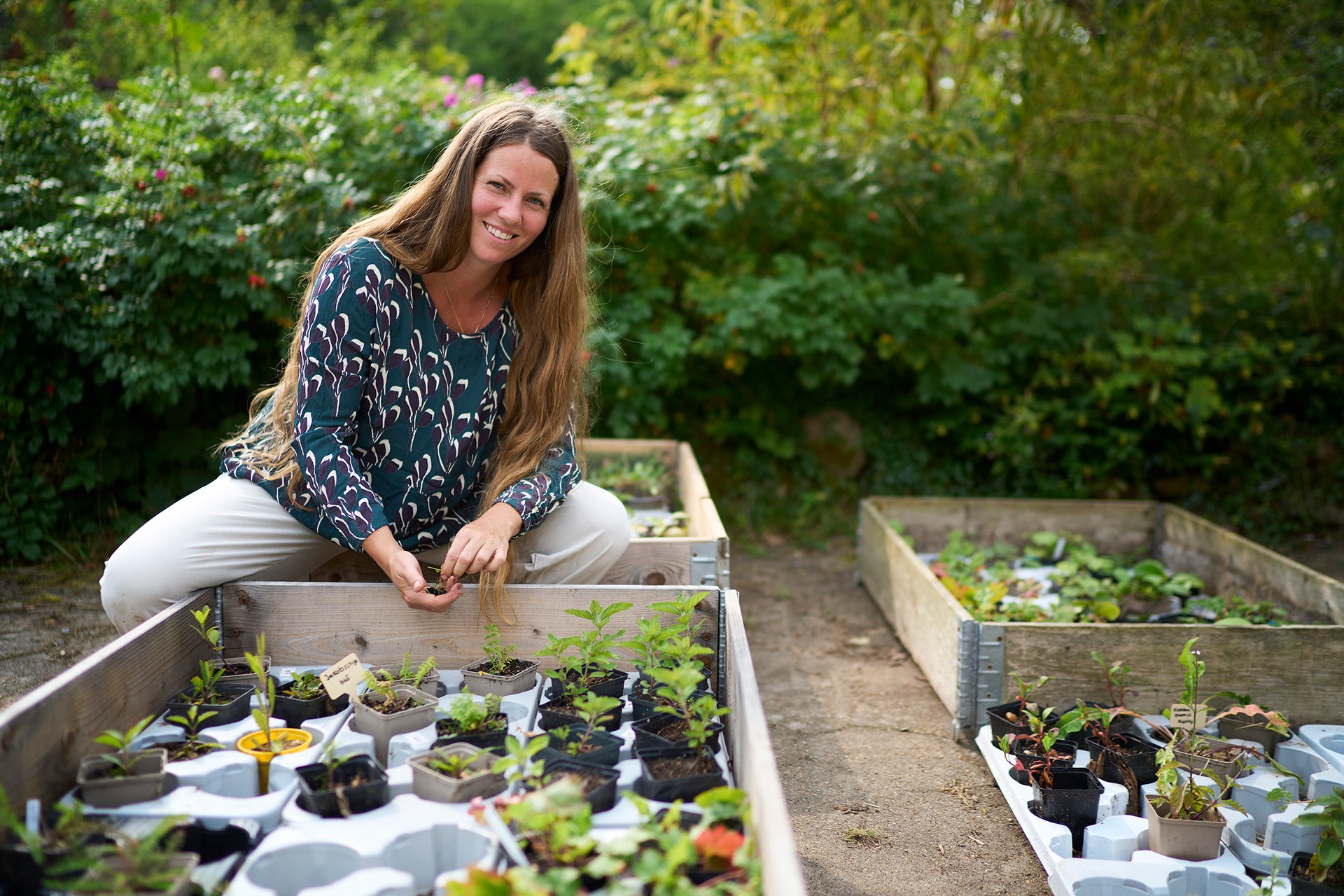 Hvordan skaber man et bed, der både er æstetisk og understøtter biodiversiteten?