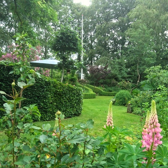 Haver i smukke omgivelser med rum, drihuse, frugthave, sø og skov