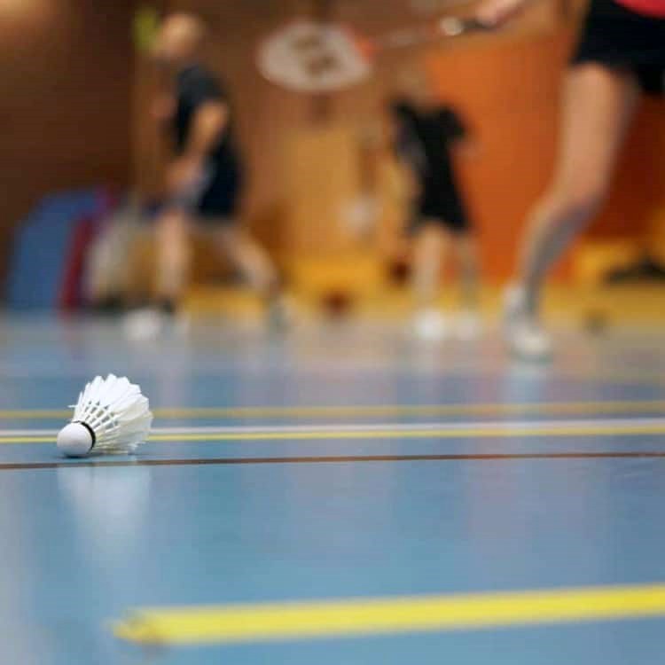 Miniton - Svenstrup Badmintonklub