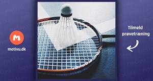Badminton, miniton