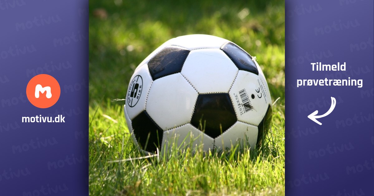 Fortuna Svendborg U10-11 (2015-2016)