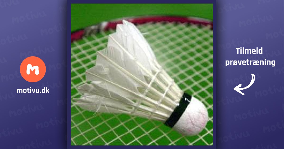 Badminton for begyndere og letøvede (8-14 år)