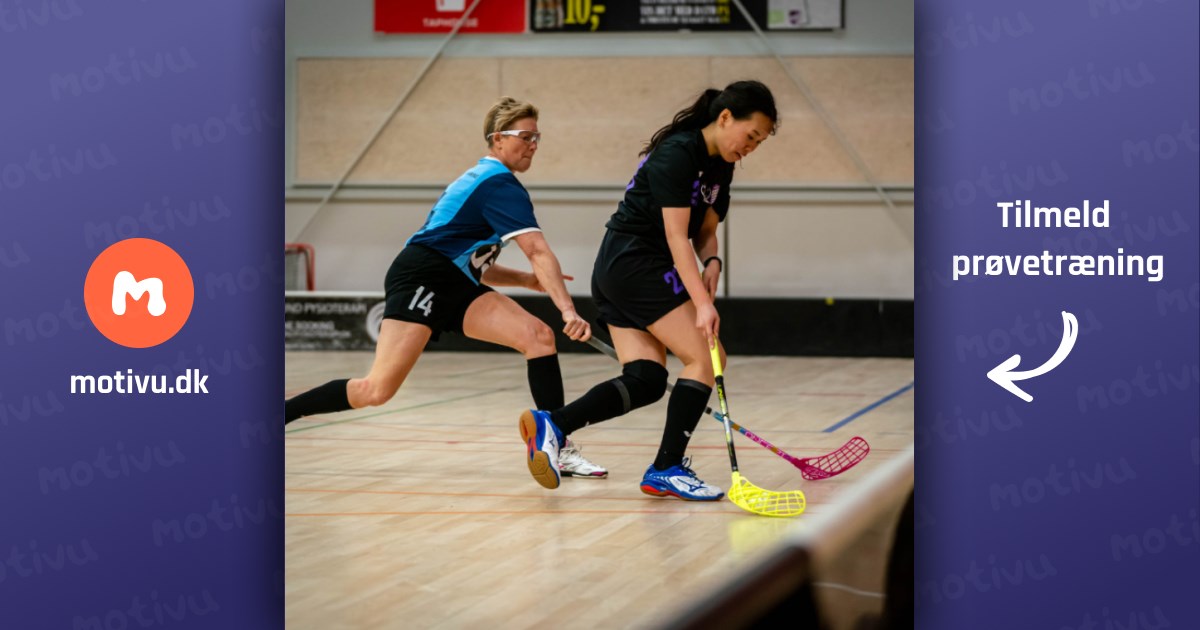 Damemotion - begynder og lettere øvet (Vanløse)