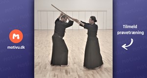 AFLYST - Jodo - japansk kampkunst med stav