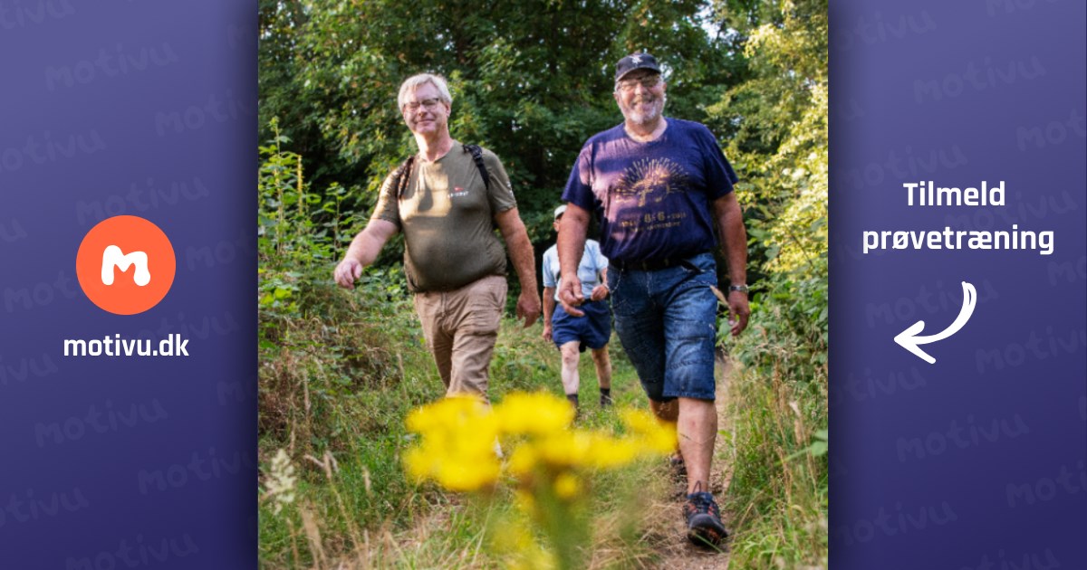 Gåtur i fællesskab (kom og vær' med hold)