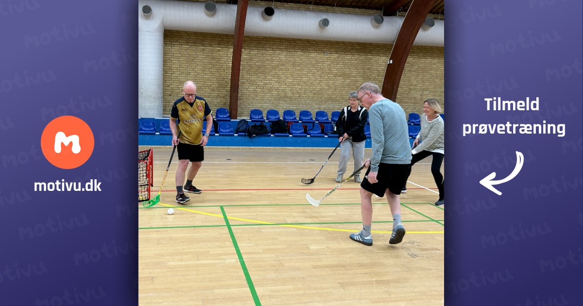 Ældrefloorball +60 år (Frb., alle niveauer)