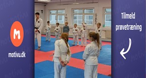 Karate - miniput hold