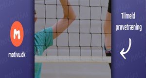 Mix Volley