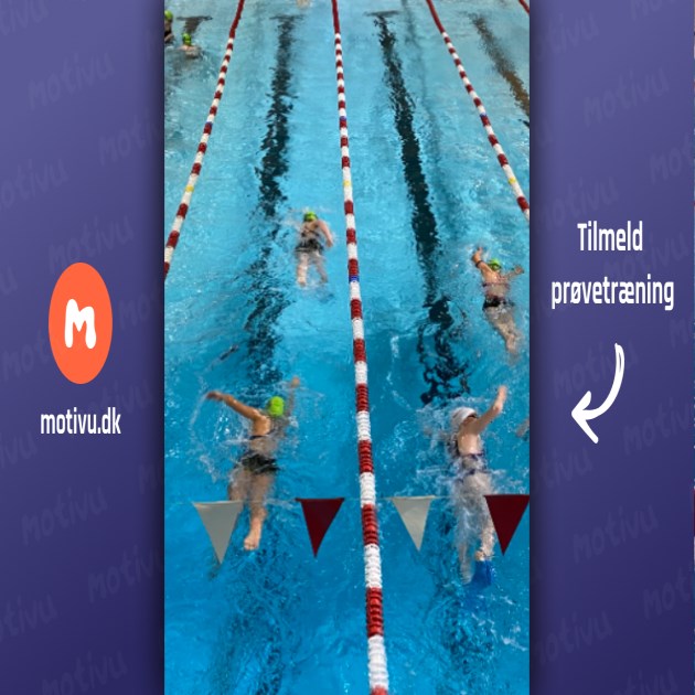 Tri, masters & Open Water for de erfarne