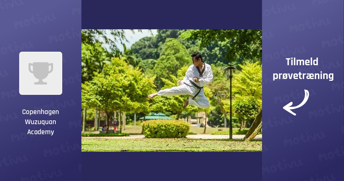 Traditionel Shaolin kung fu