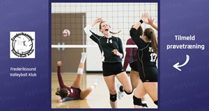 Volley Herre Senior 1