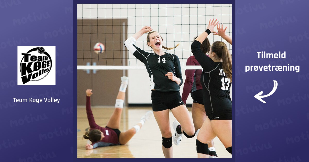 Herre 2 - serievolleyball