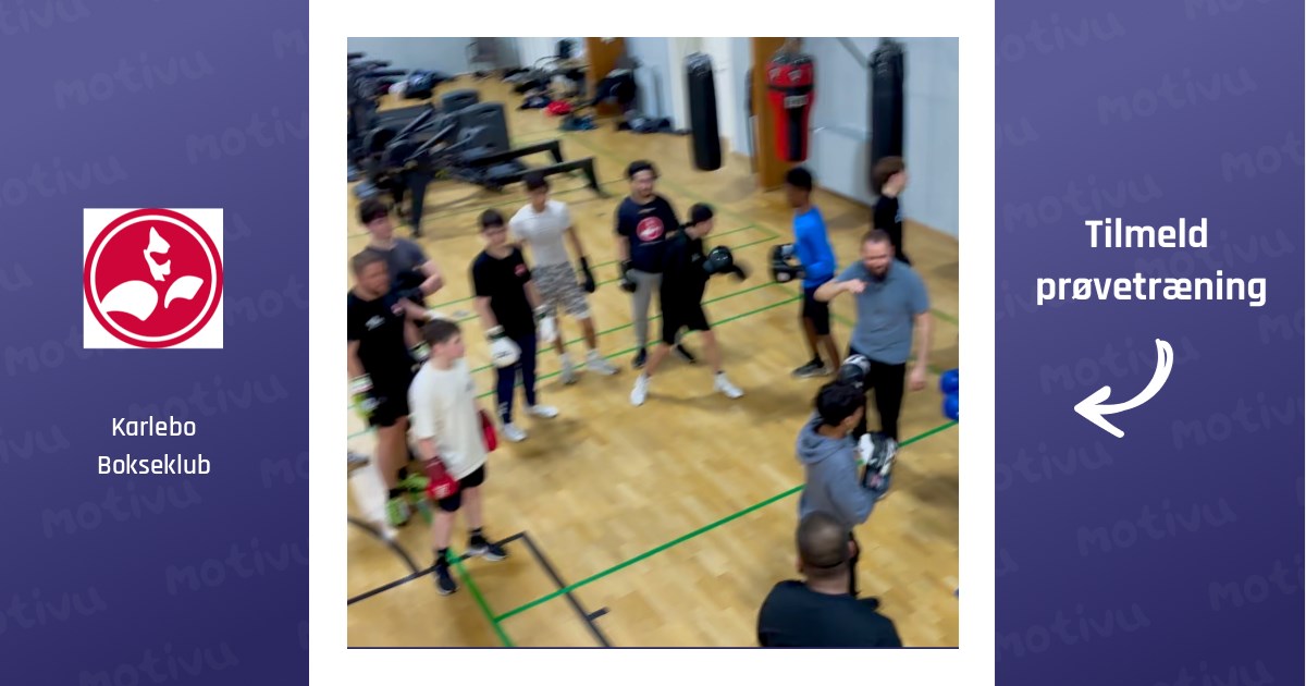 Boksning (Alle niveauer)