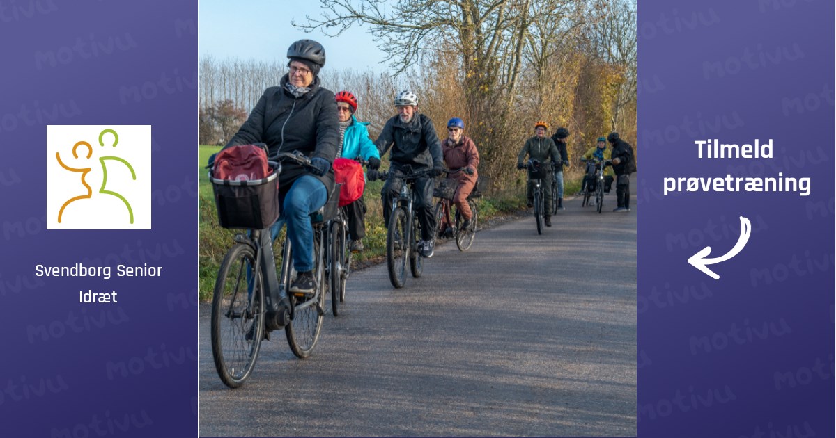 El-Cykelgruppe