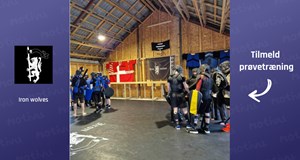 Buhurt fra 10 år