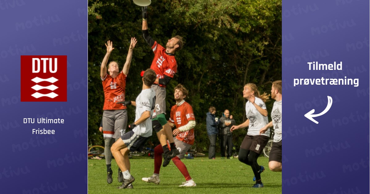 Ultimate Frisbee - Alle Niveauer