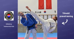 Taekwondo for Voksne (15+)