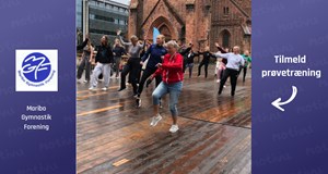 Fitnessdans og Styrke