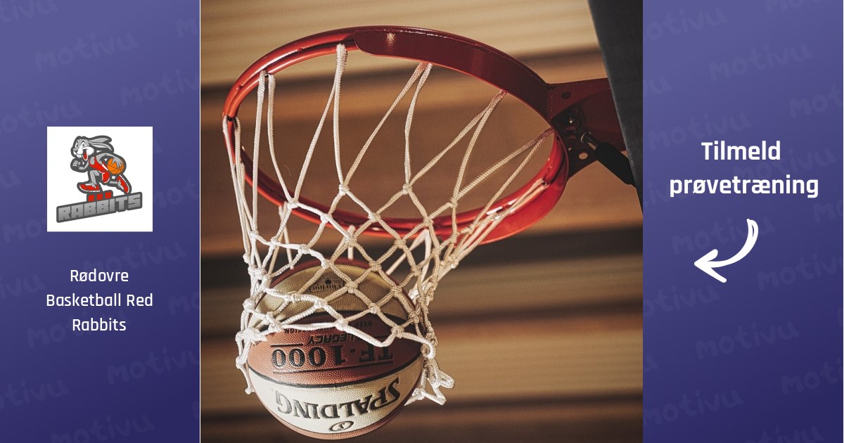 Basketball -Old Boys/Girls