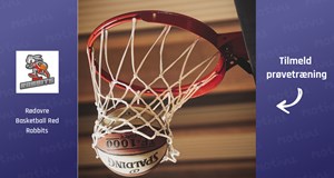 Basketball -Old Boys/Girls