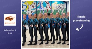 TeamGym senior damer