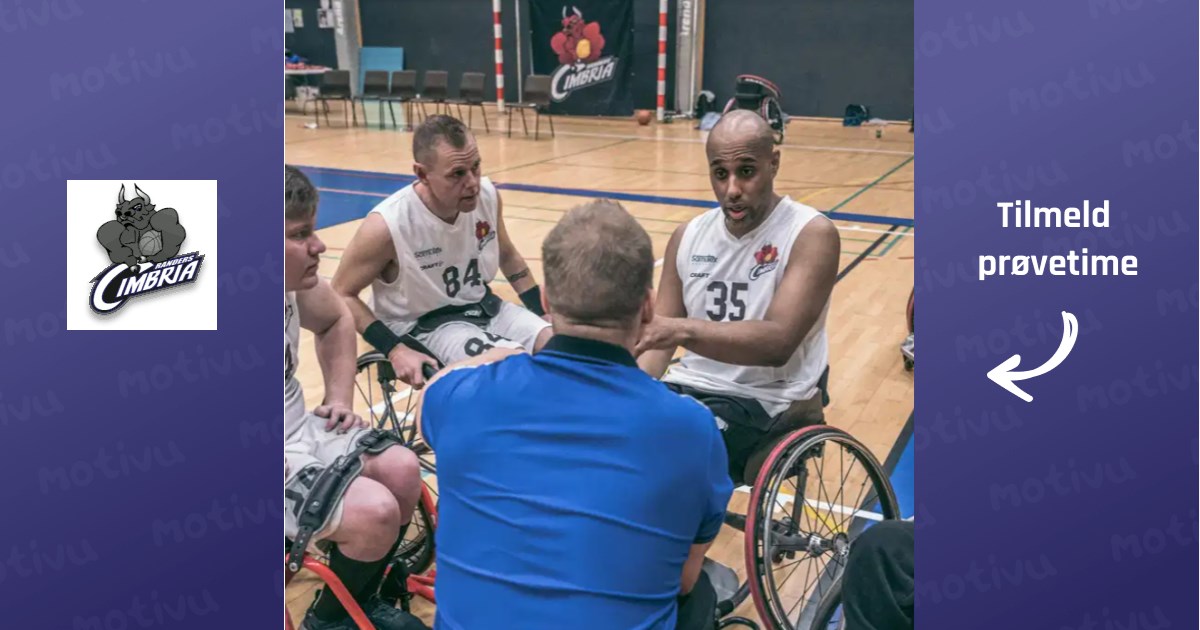 Kørestolsbasket voksen mix