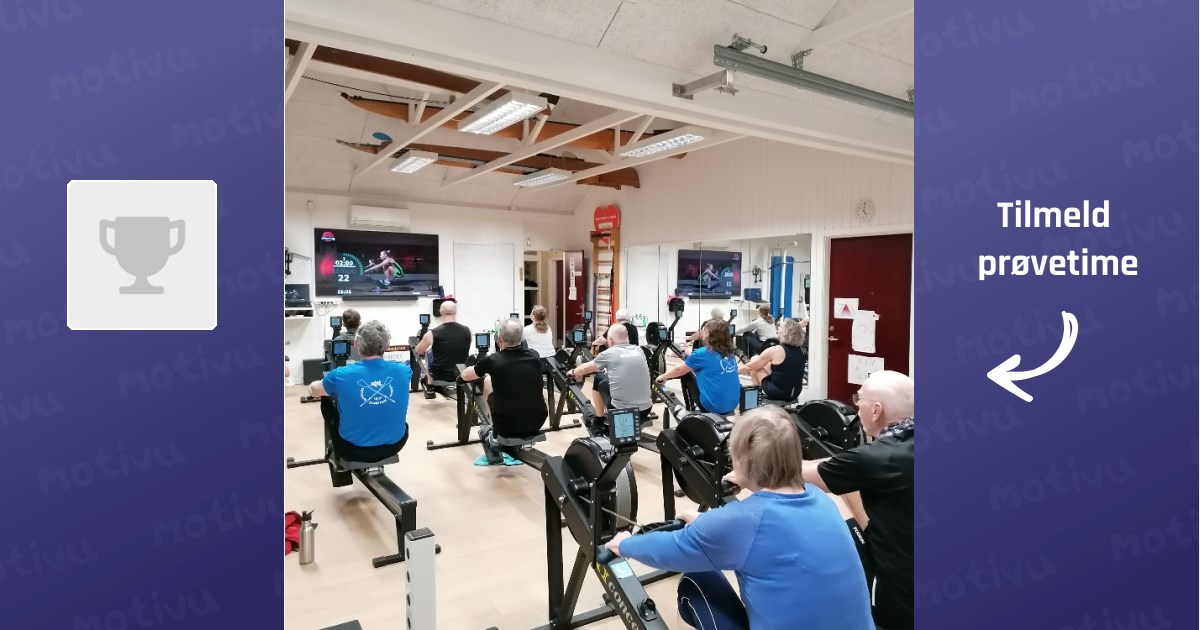 Introduktion til E-roning (4 gange) - hold 1