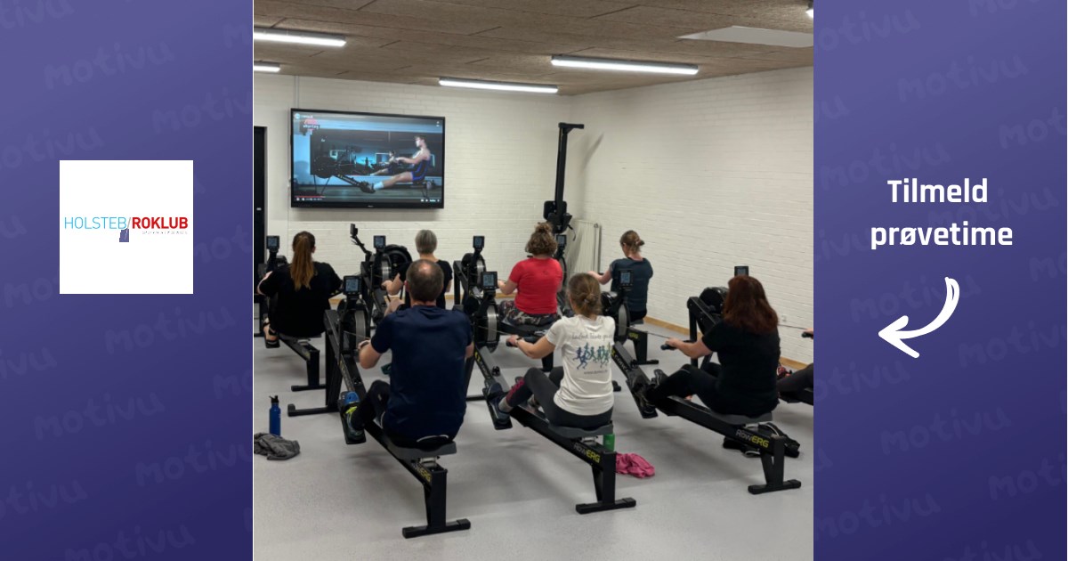 Introduktion til e-roning (4 gange)