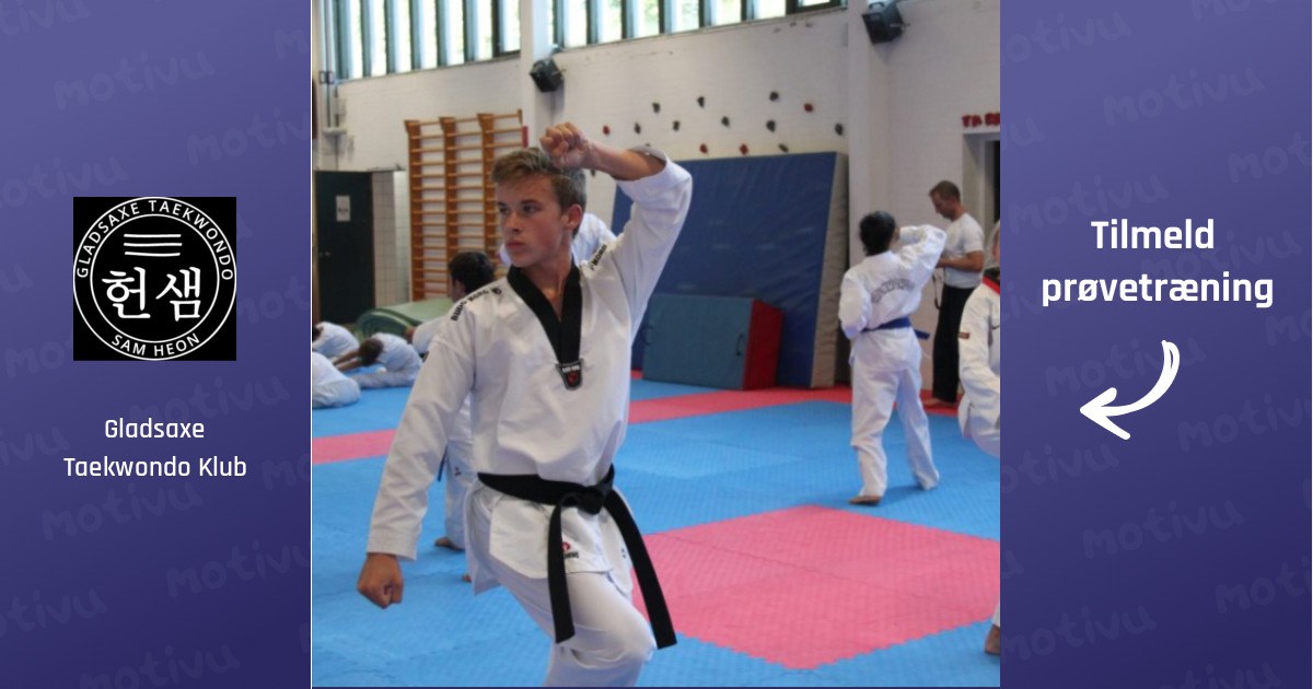 Taekwondo Grundteknik (Hold AB) +15 år