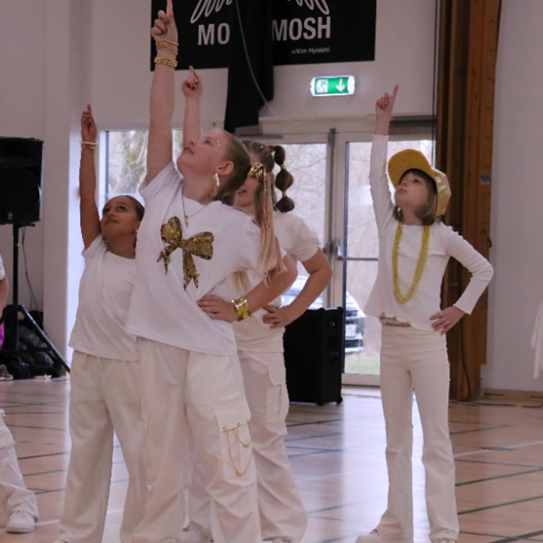 Hip Hop under 12 år kl17.30