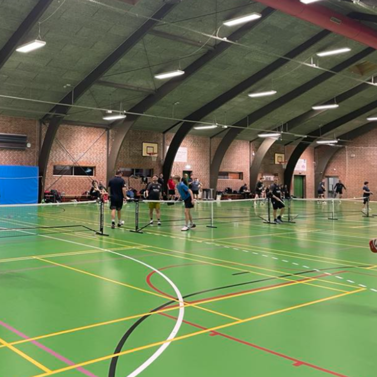 Pickleball