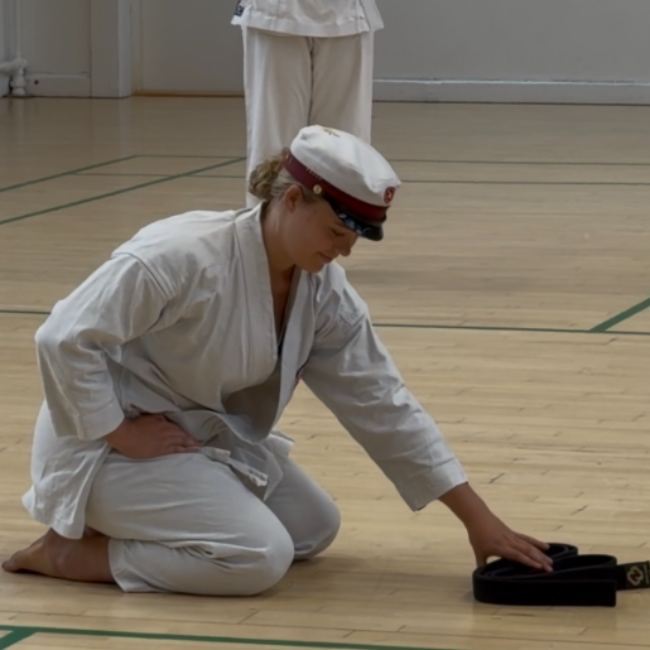 Introduktion til Karate