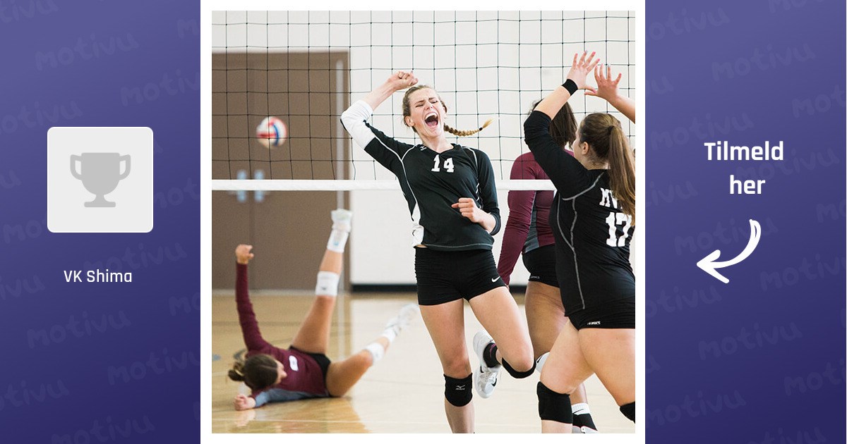 Volleyball