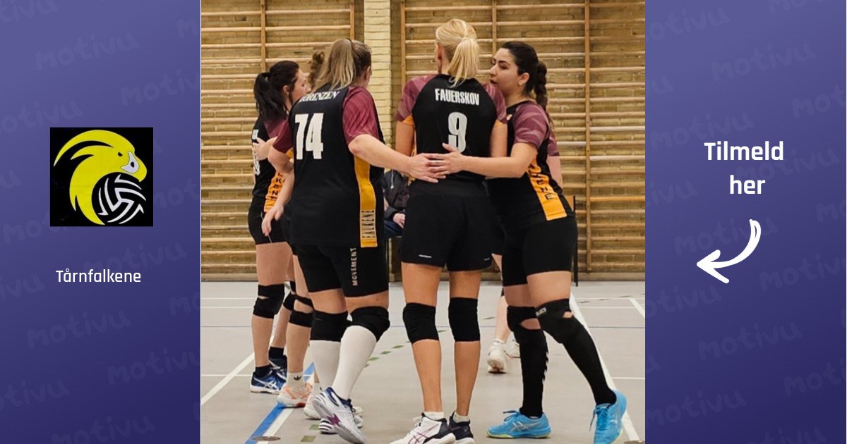 Volleyball damehold i Danmarksserien