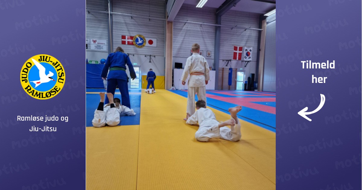 Judo voksen gult bælte