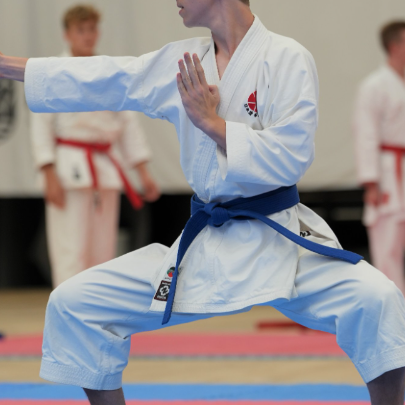 Traditionel Itosu Ryu Karate