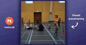 Trille-Trolle (2-5 år)