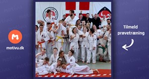 Ju - jitsu