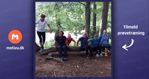 Skovfitness unge/voksne