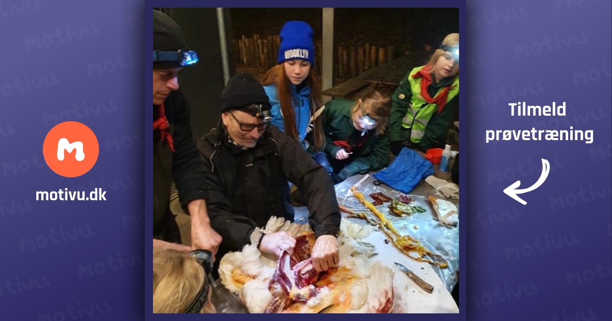 Juniorspejderne (4. 5. kl.)