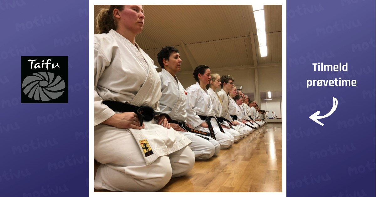 Karate voksne begynder