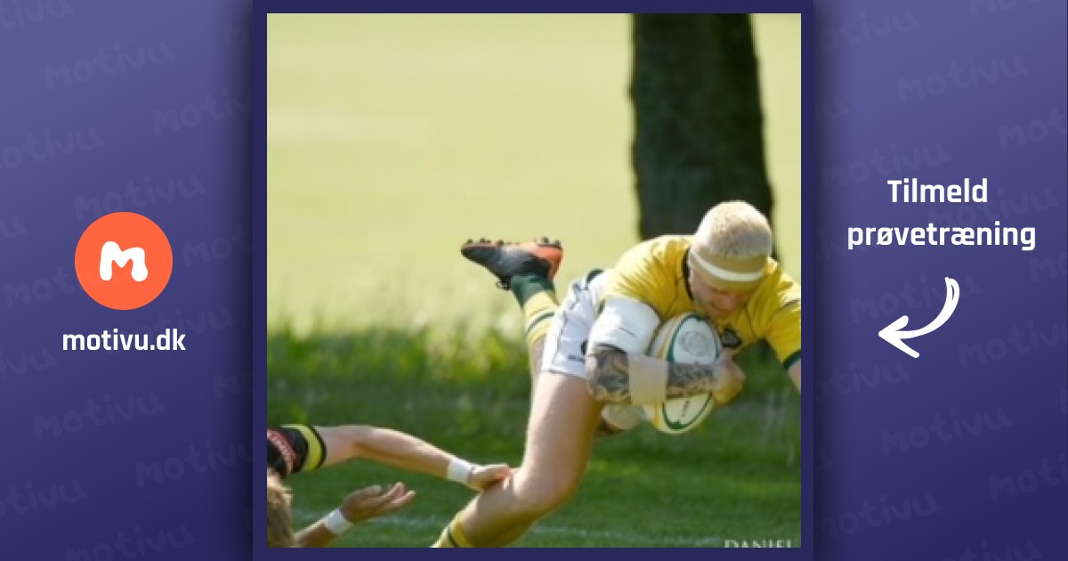 Rugby for alle (herresenior)