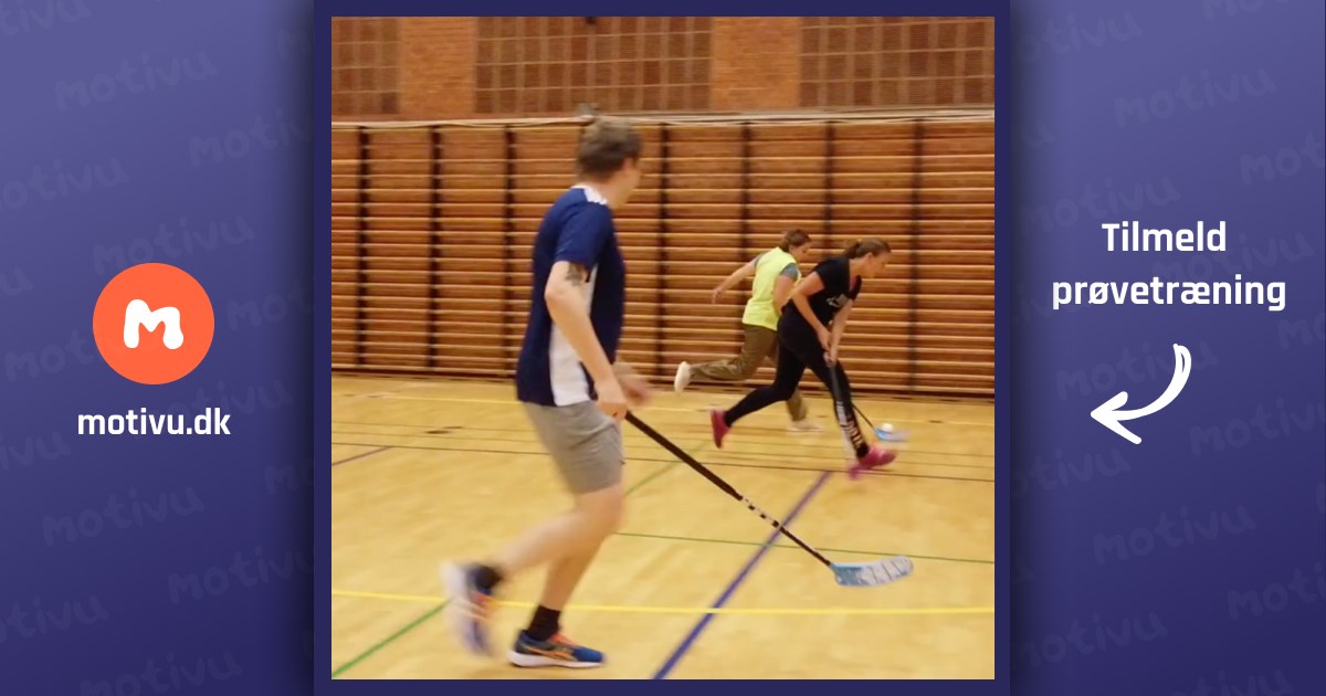 Motionist floorball