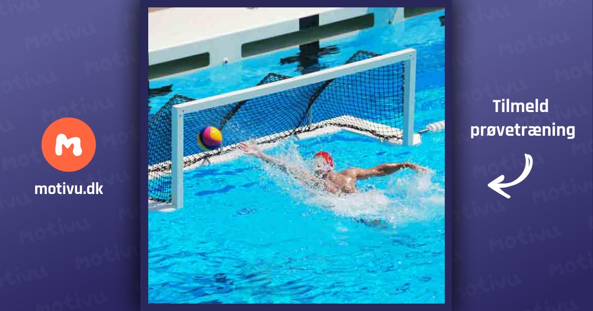 Vandpolo - boldspil for svømmere 15+